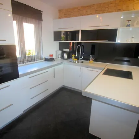 Martina 茨里克韦尼察